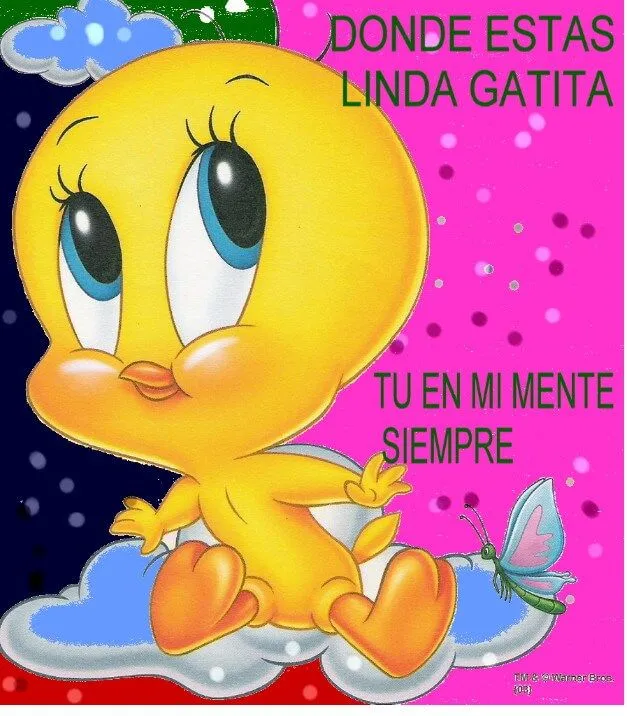 Imágenes de Piolin con mensajes divertidos y frases tiernas para ...