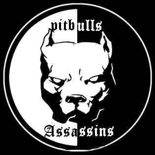 Pitbull dibujo logo - Imagui