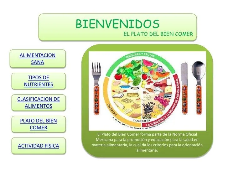 Plato del buen comer en inglés - Imagui