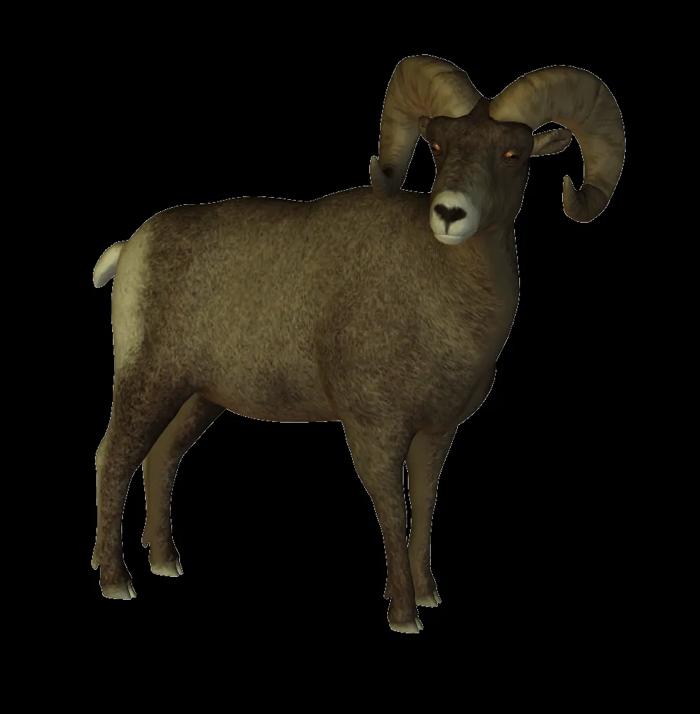 Imágenes png animales - Imagui