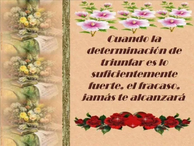 Bonitas Reflexiones on Vimeo