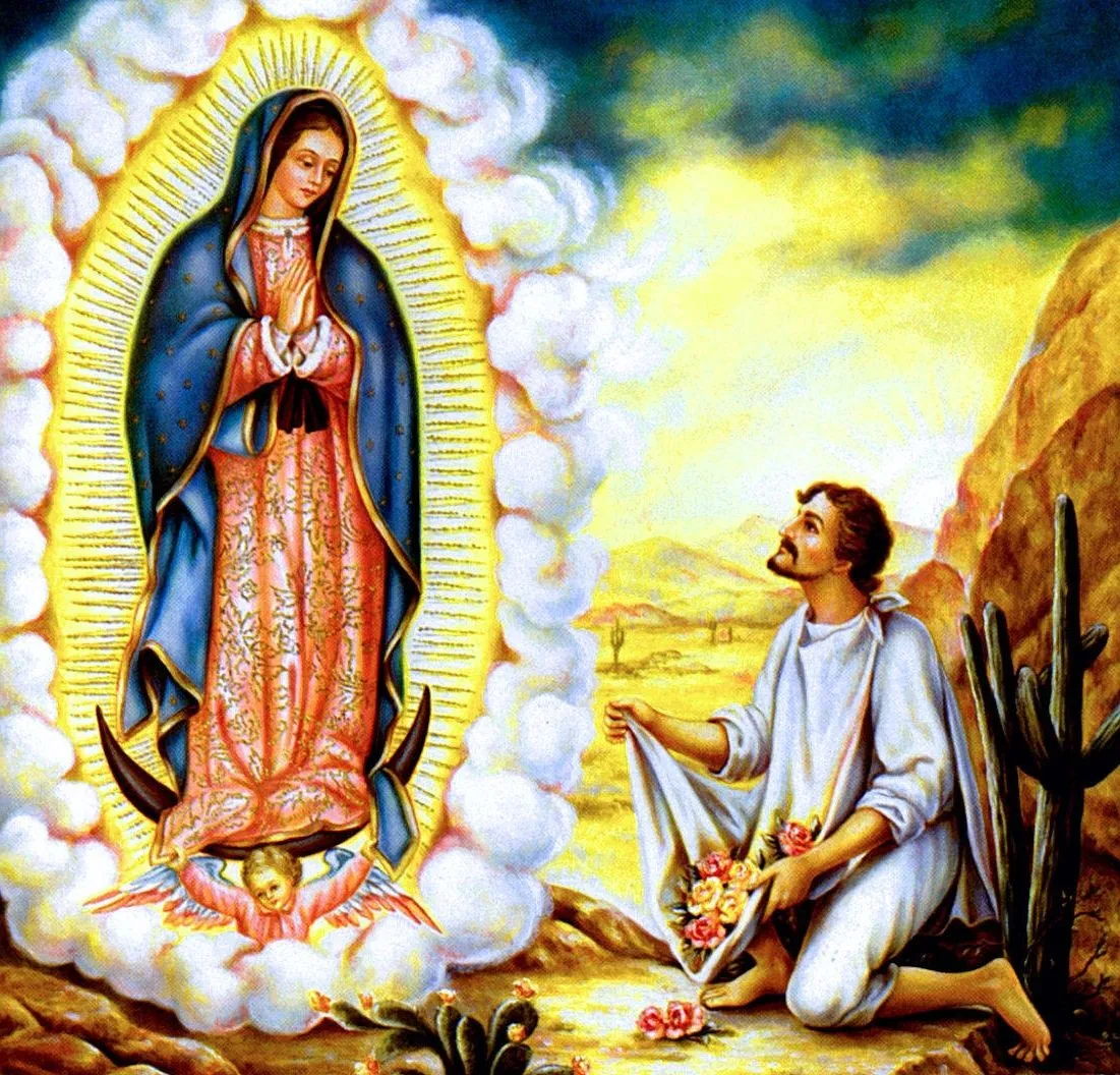 IMAGENES RELIGIOSAS: FOTO DE LA VIRGEN DE GUADALUPE