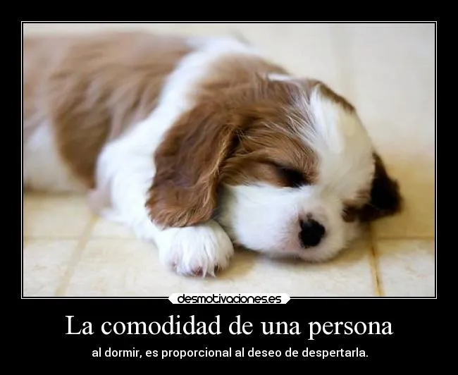 Carteles de Animales Pag. 781 | Desmotivaciones