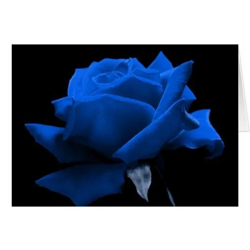 Imagenes de rosa azul con frases - Imagui