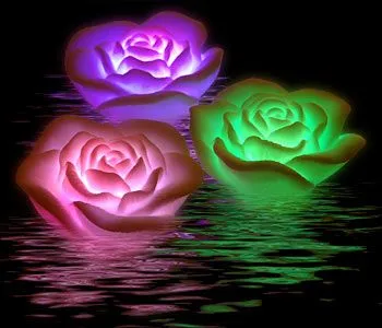 Rosas con luces para un baño romántico - tuexperto.com