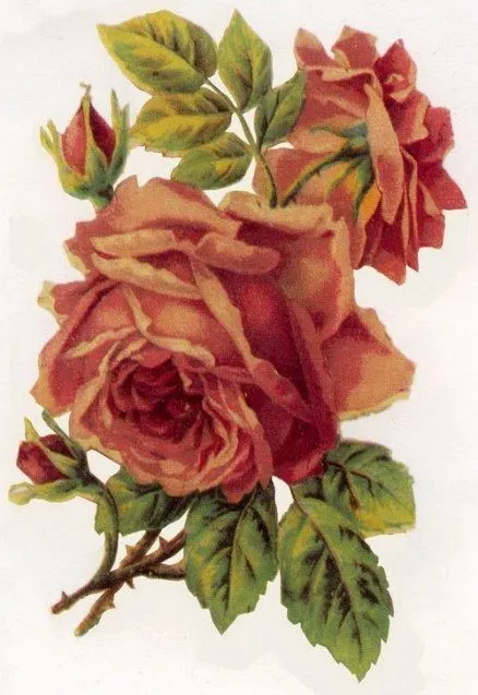 Imagenes de rosas para decoupage - Imagui