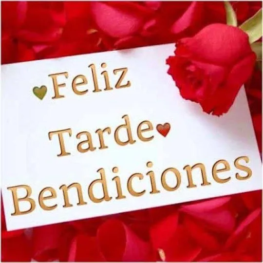 Imagenes De Rosas Para Desear Feliz Tarde En Facebook