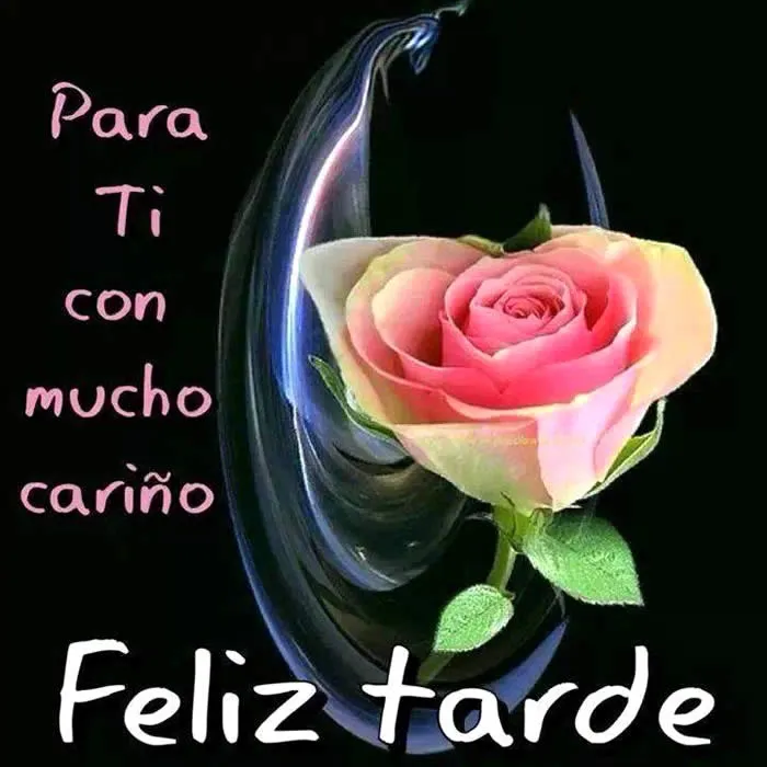 Imagenes De Rosas Para Desear Feliz Tarde En Facebook