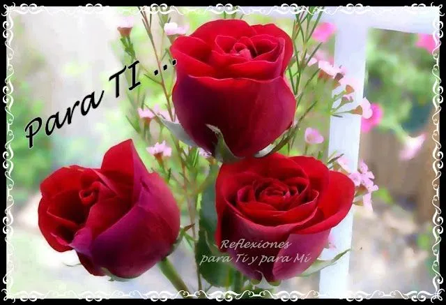 Imagenes • Rosas para ti facebook