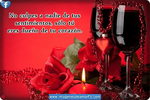 Imagenes de rosas con frases de amor ~ Imagenes de amor con frases ...