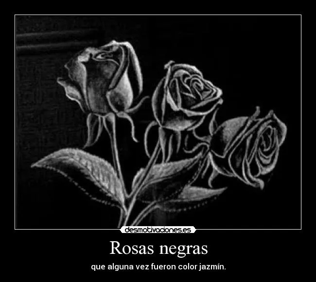 Imagenes rosas negras frases - Imagui