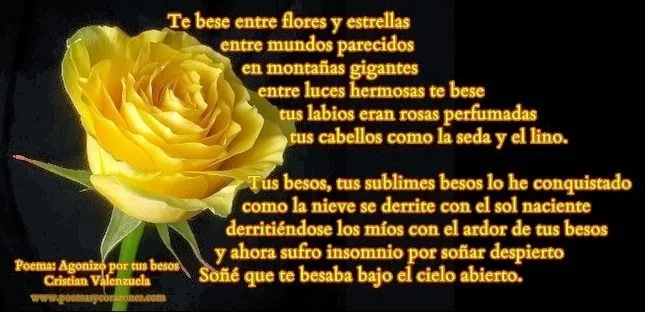 Imágenes de rosas con poemas | Poemas y Corazones