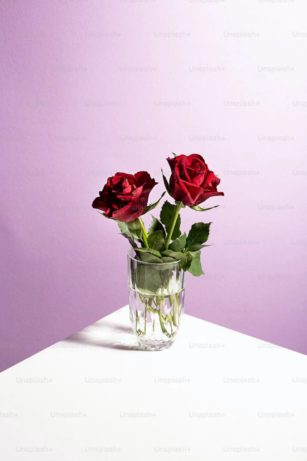 Imágenes de Rosas Rojas | Descarga imágenes gratuitas en Unsplash