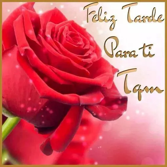 Imagenes de rosas rojas feliz tarde para ti | Frases de buenas tardes,  Mensajes de buenas tardes, Buenas tardes mi amor