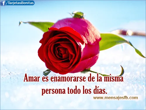 Mensajes de amor con flor de rosas ~ Mensajes Bonitos de Amor para ...