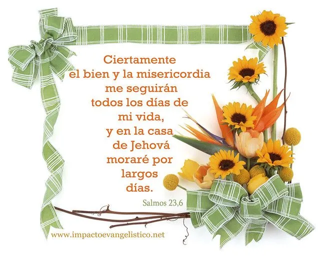 Salmos 23 en Espanol images