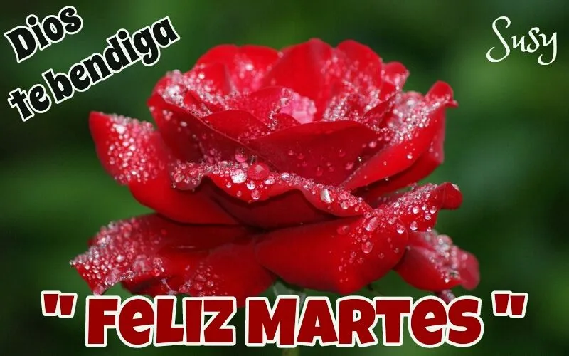 imagenes buenos dias buenas tardes buenas noches detalles de amor ...