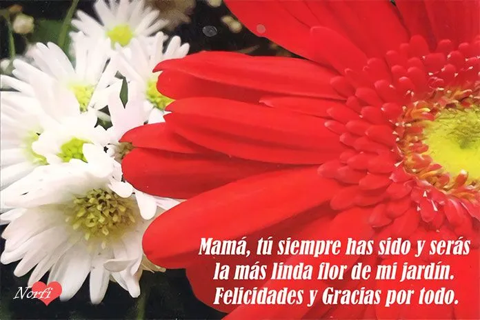 Imágenes, tarjetas y postales para mamá en el día de las madres