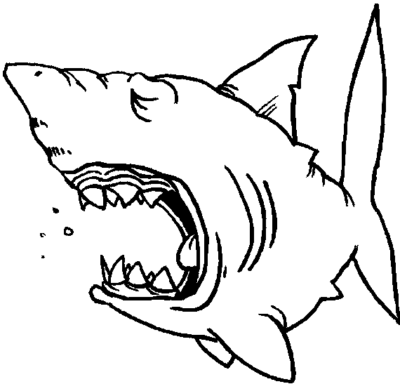 Imagenes de tiburones para colorear - Imagui