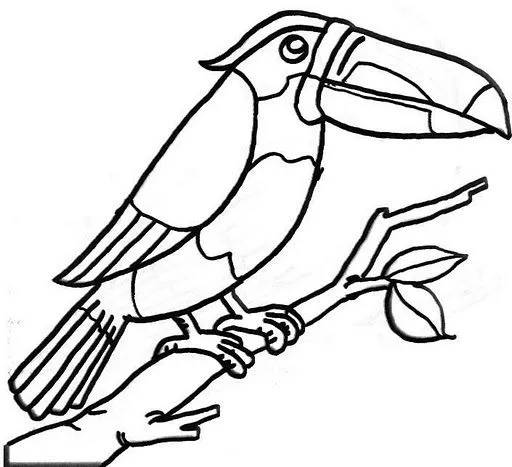 Imagenes de tucanes para colorear - Imagui
