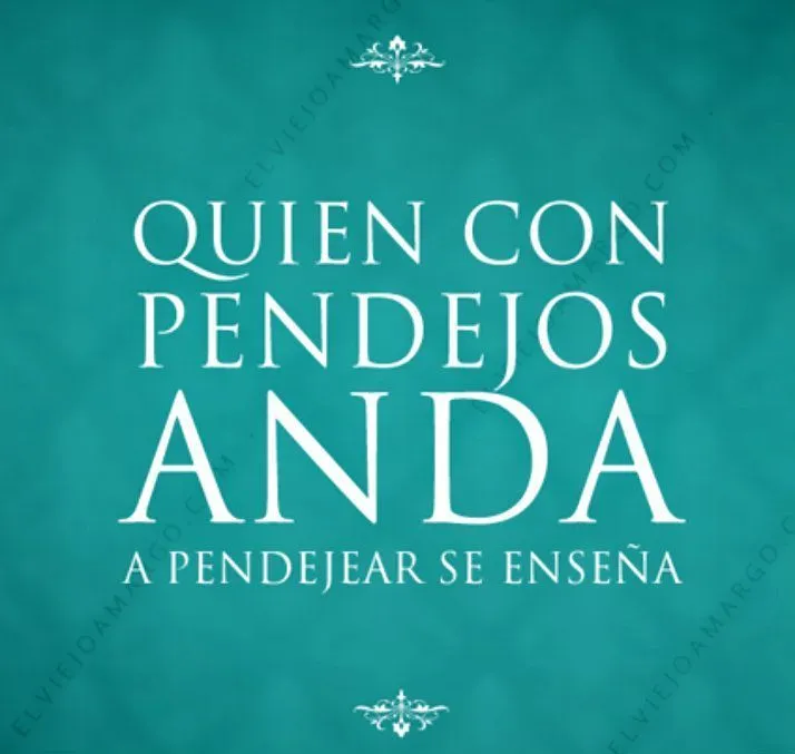 imagenes tumblr con frases groseras - Buscar con Google | frases ...