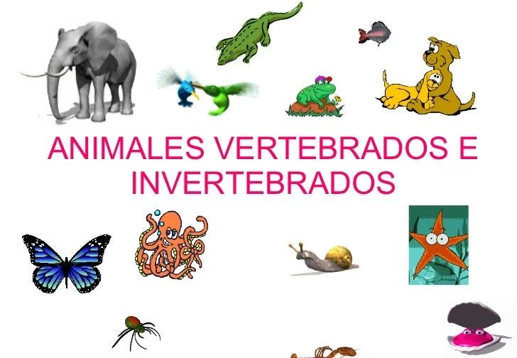 Dibujo de animales vertebrados e invertebrados - Imagui