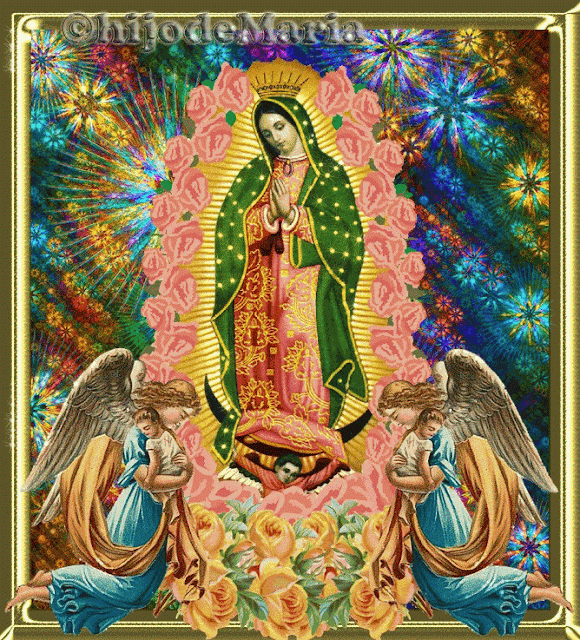Imagenes De La Virgen De Guadalupe 8