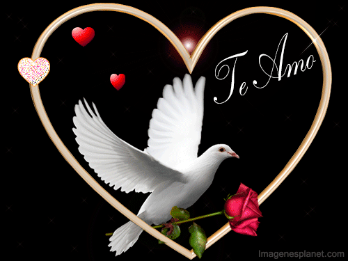 Imagenes+Gif+Te+Amo+Con+Corazon | Imagenes de amor | Pinterest ...