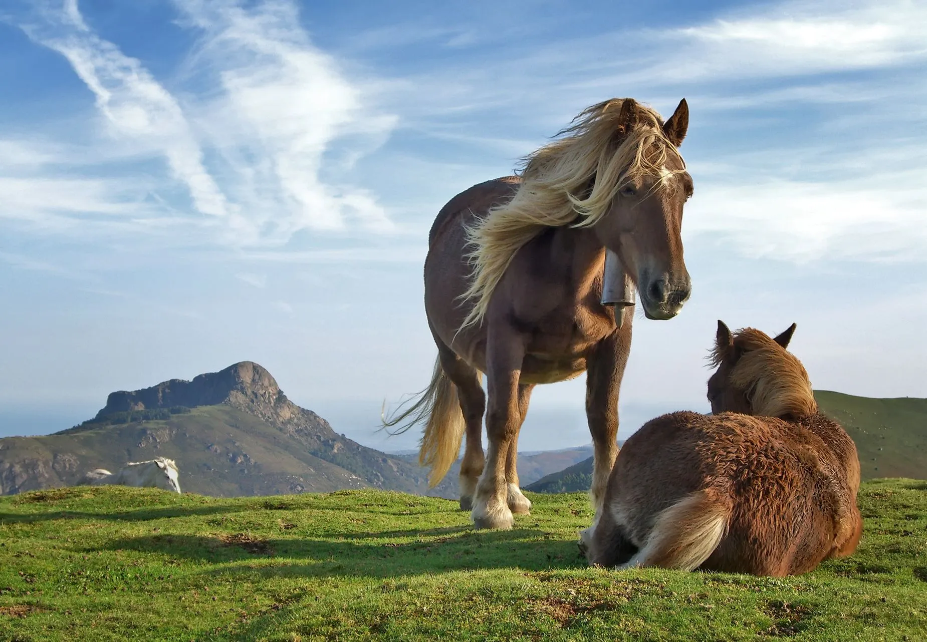 Imagens bonitas !