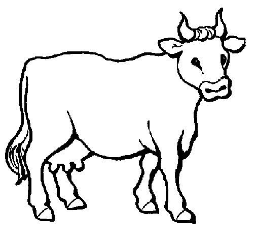 Imagens Para Colorir: Desenho de Vacas Para Colorir