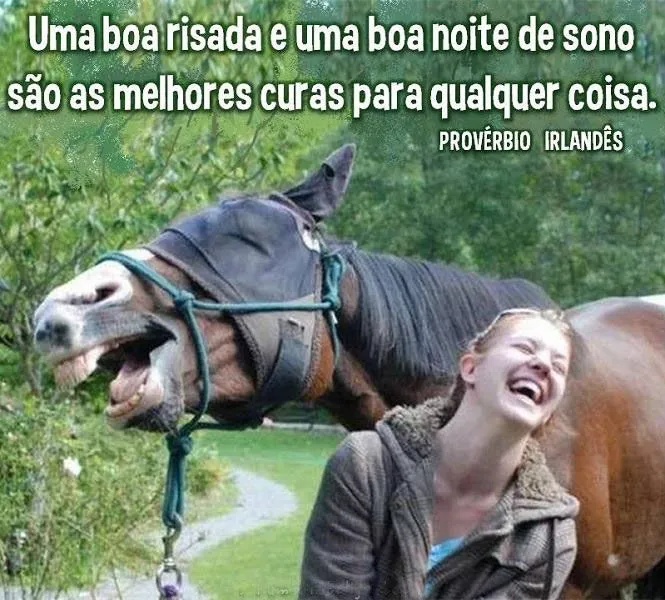 IMAGENS PARA FACEBOOK DE BOA NOITE ENGRAÇADO :: Avaré - Guia Avaré ...