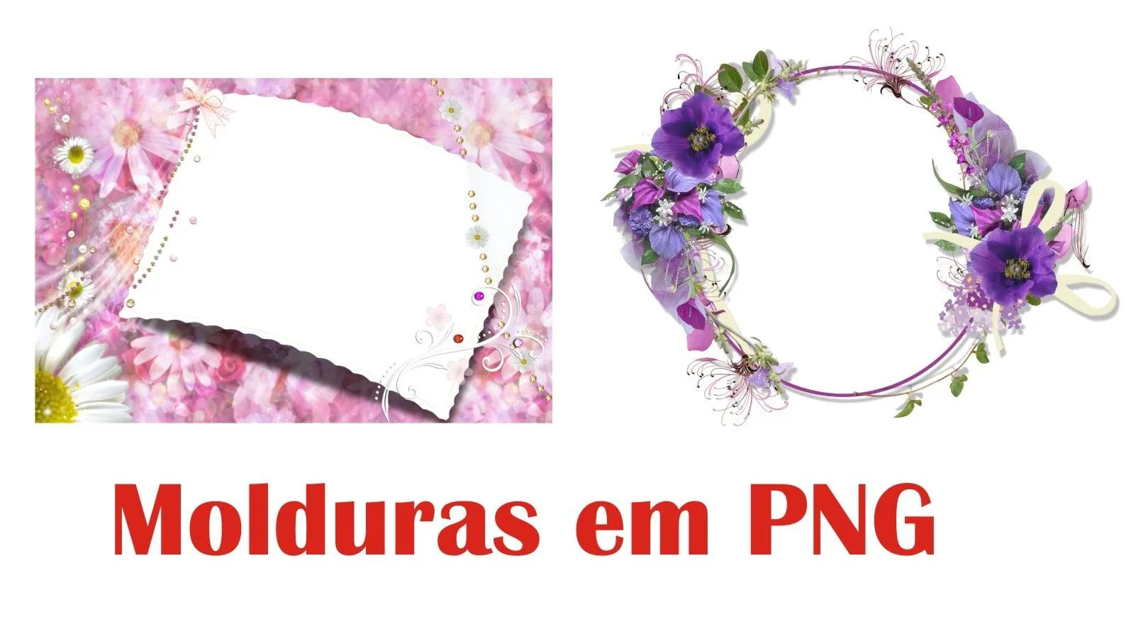 Imagens7 - Um Mundo em Imagens: 4 Molduras de Flores e Rosas em PNG