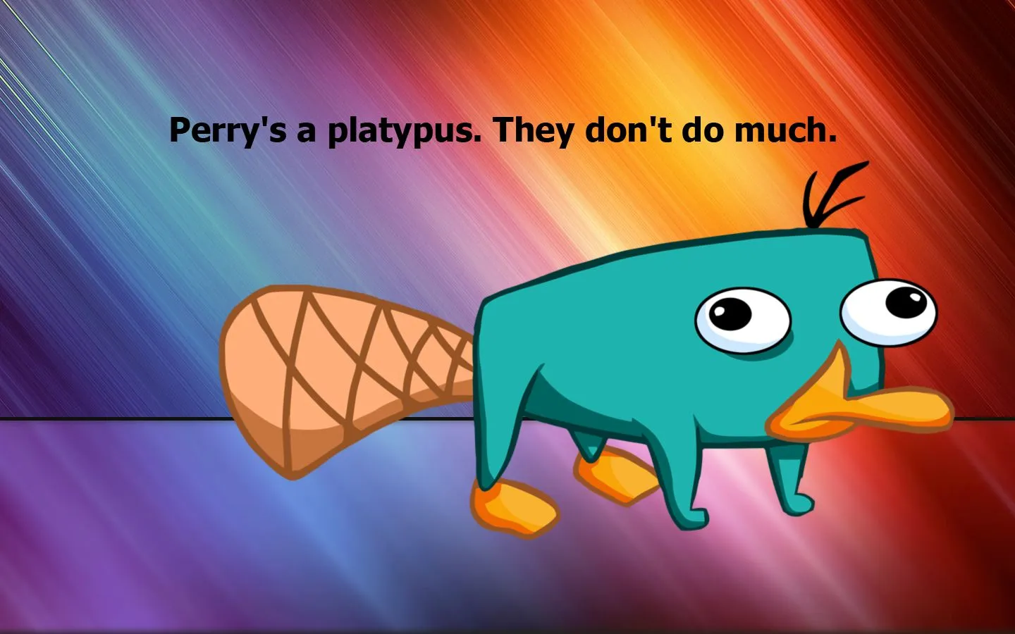 Images For > Baby Perry The Platypus