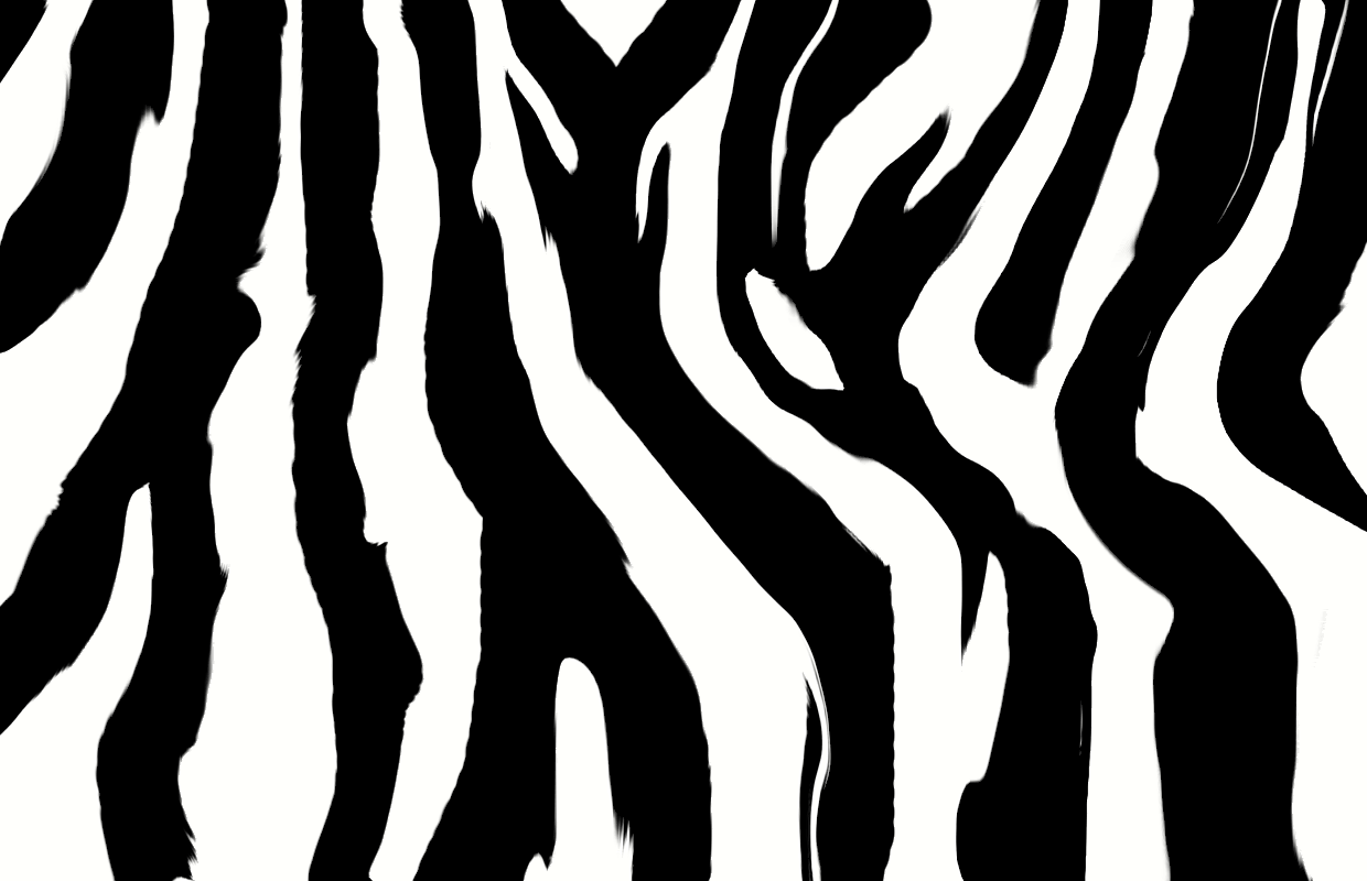 Images For > Zebra Animal Prints