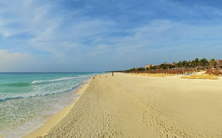 Images > Quetzal Baby