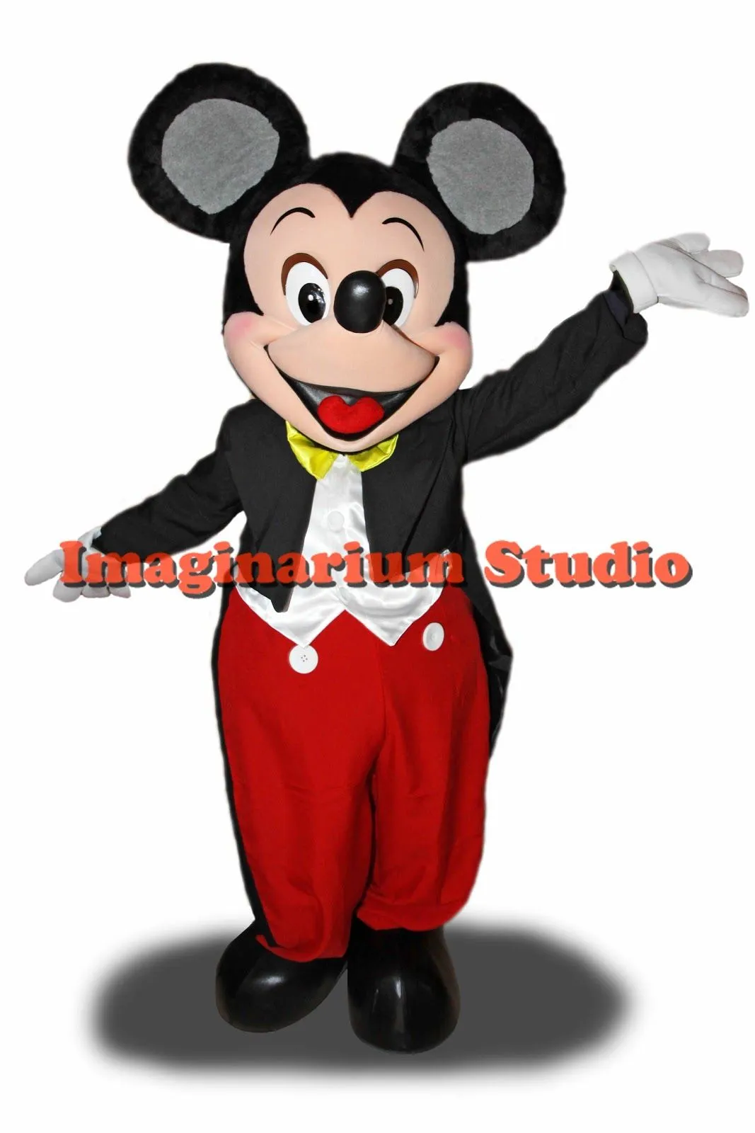 Imaginarium Studio: DISFRACES PROFESIONALES DE MICKEY Y MINNIE MOUSE