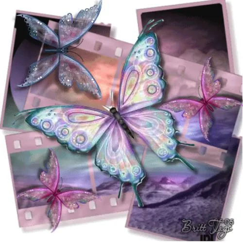 IMAGINES CON MOVIMIENTO MARIPOSAS 3 | TODO PARA FACEBOOK IMAGENES ...