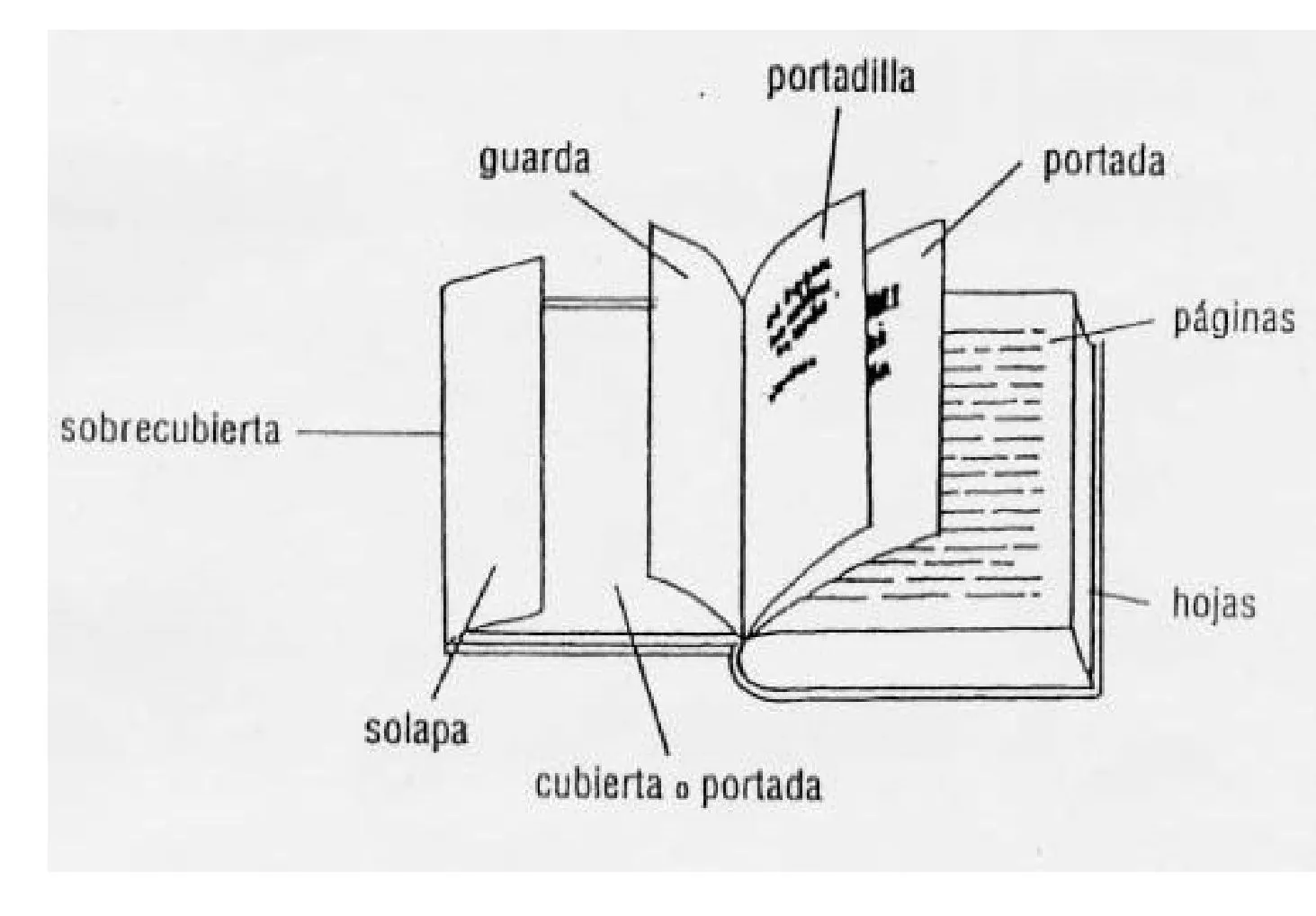 IMFORMATICA 2013: Cuestionario: "el libro"