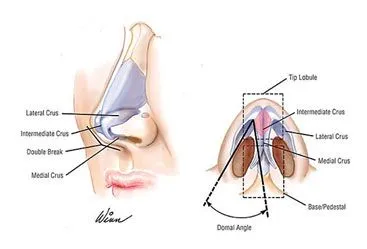 img_rinoplastia11.jpg