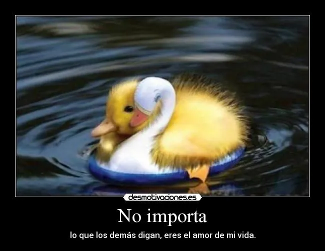 No importa | Desmotivaciones