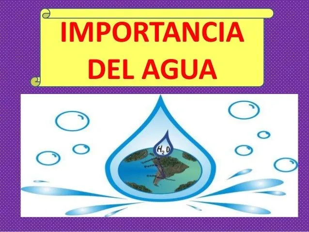 Importancia del agua 1º