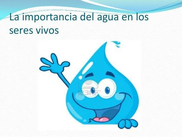 La importancia del agua en los seres vivos