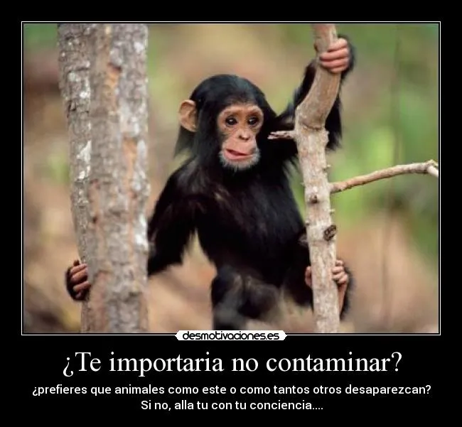 Te importaria no contaminar? | Desmotivaciones