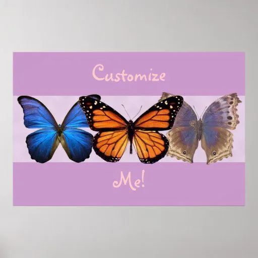 Impresión adaptable de tres mariposas bonitas poster | Zazzle