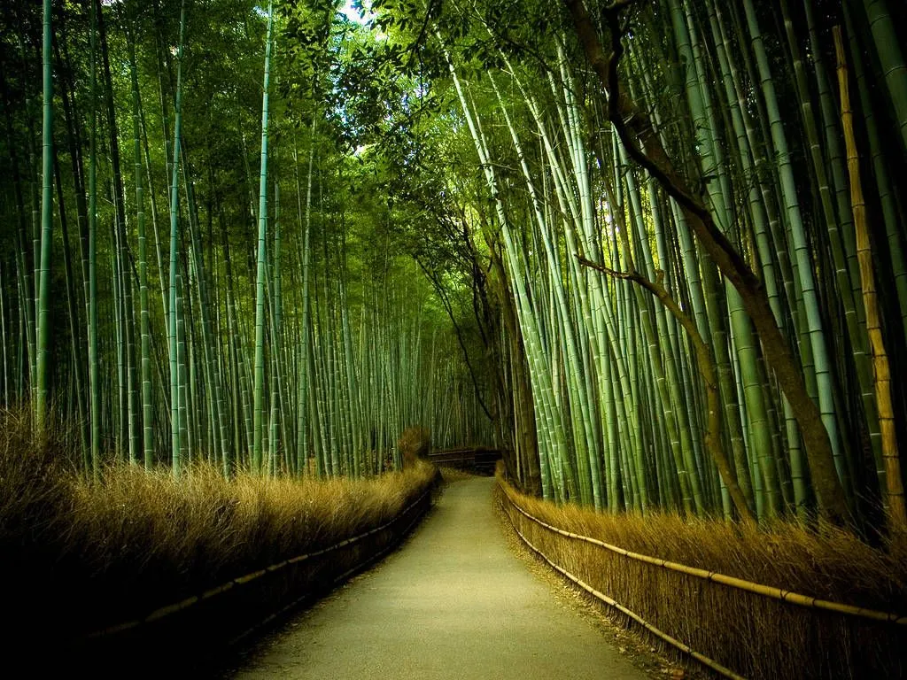  ... APETECE CONOCER ALGUNOS DE LOS PAISAJES DE JAPÓN? « Awesome places