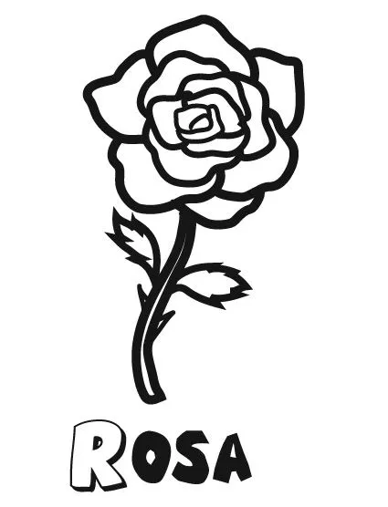Imprimir dibujos para colorear : Rosa