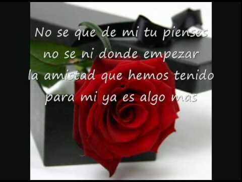 Industria del Amor - Rosas Rojas Lyrics