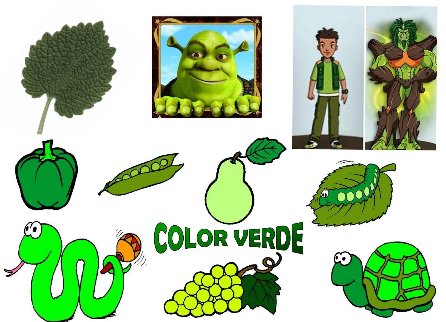 Infantil con Gema. Colegio Santa Ana Caspe.: TACHÁN... EL VERDE!!