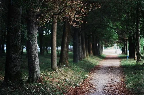 Infinite Dream, Not Hurt.