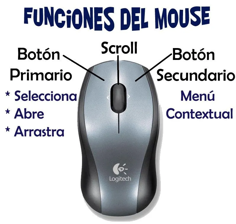 Info Basic: Partes del Mouse o Ratón